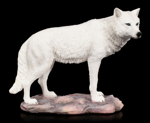 Lupo figura bianco spirit - figura,
