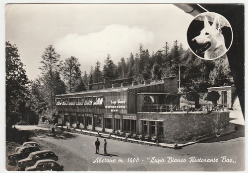Abetone pistoia lupo - abetone,