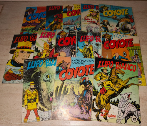 Top nuova serie coyote - coyote, lupo